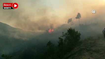 Bilecik'te orman yangını çıktı