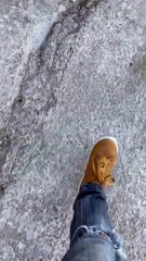 Le chien agit différemment de l'autre côté