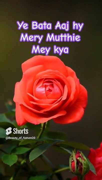 #Beautiful Naat#Beautiful World#Beautiful Nature#Shorts# Shorts with lyrics#Youtube#