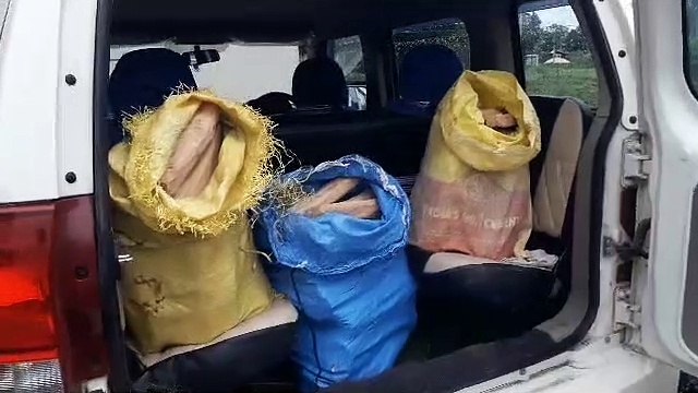 Video Story: मध्यप्रदेश में यहां हो रही थी चंदन की तस्करी, उत्तरप्रदेश और बिहार से जुड़े थे तार