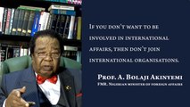 Former Foreign Affairs Minister, Prof. A Bolaji Akinyemi, wades into ECOWAS vs Niger conflict.