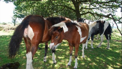 Kris Oxland Music  Every Moment 1. From the CD  Isolated Motivated NHS Song