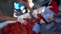 Le service de machine à pâte de tomate se poursuit à Efes Selçuk