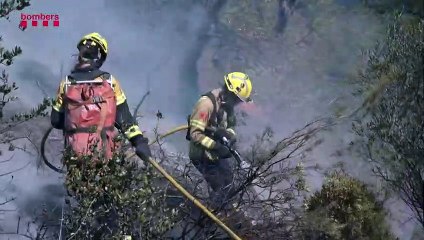 Controlado el incendio en la frontera de España con Francia