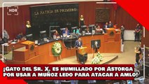 ¡VEAN! ¡Gato del Sr. X. es humillado por Pérez Astorga por usar a Muñoz Ledo para atacar a AMLO!