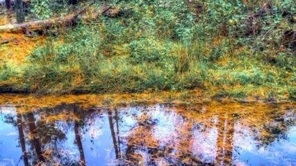 বাংলা চটি গল্প 📝 | রোমাঞ্চকর ও মজার ছোট গল্পসমূহ