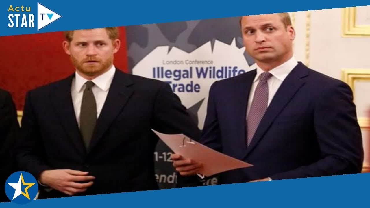 Harry et William : cette rivalité entre les deux frères qui remonteraient bien plus loin que le Megx