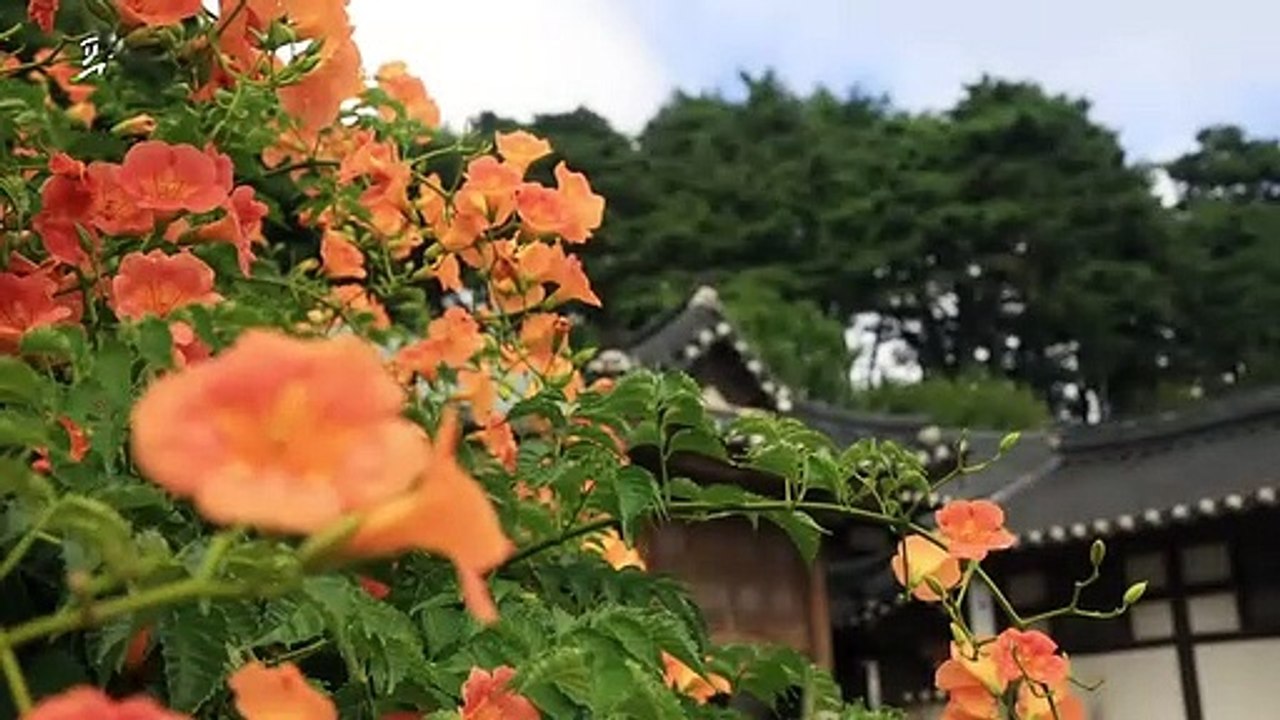 [풍경여지도] 전통의 멋 흐르는 동해바다로~ - 강원 강릉 2부
