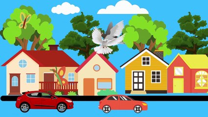 Video animasi - rumah - mobil - pohon