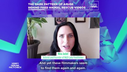 Fake animal rescue videos are a money-making scam, say campaigners