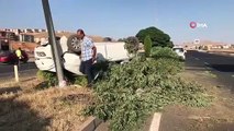 La voiture qui a heurté le poteau d'éclairage à Elazig s'est renversée： 4 blessés