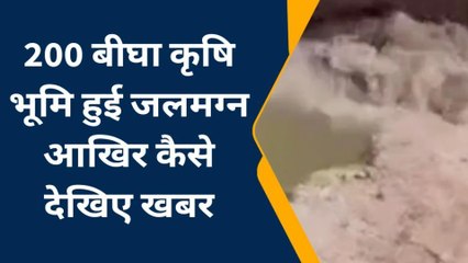 श्रीगंगानगर: घग्घर नदी के बंधे में आया कटाव, खेत हुए जलमग्न, अपने स्तर सही करने में जुटे किसान, देखिए नजारा