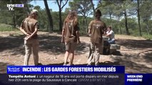 Le Var et les Bouches-du-Rhône en alerte rouge incendie: les gardes forestiers font de la prévention auprès des touristes