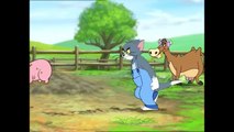 Tom and Jerry Tales _ Egg War _ Boomerang UK(720P_HD)