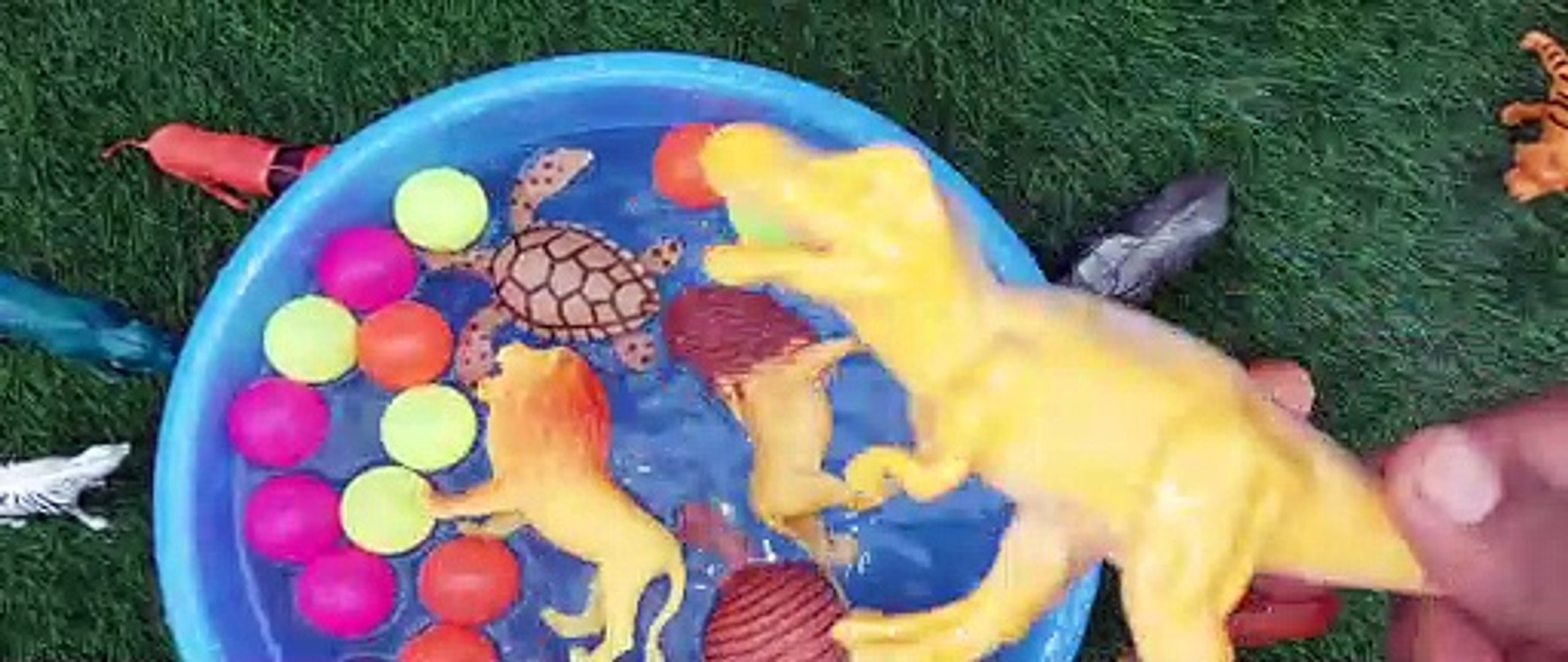 ⁣Animals jungle animals