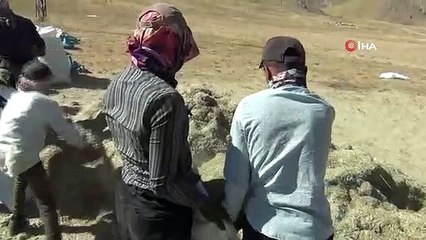 Les durs préparatifs hivernaux des éleveurs se poursuivent sur le plateau de Faraşin