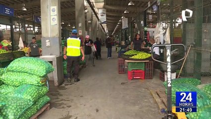 Ayacucho: jinete resulta herido al caer de su caballo durante festividad