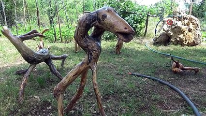 Les racines des arbres se transforment en art entre des mains habiles à Gümüşhane