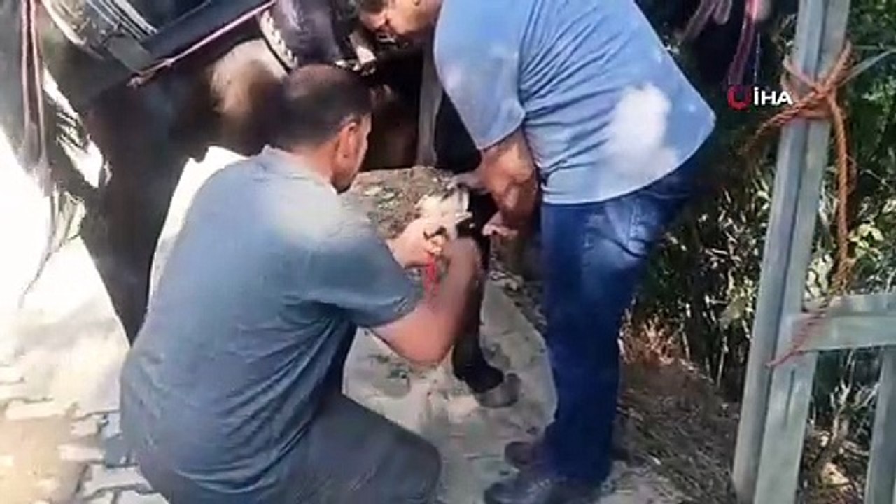 Essayer de garder le métier de son père, forgeron