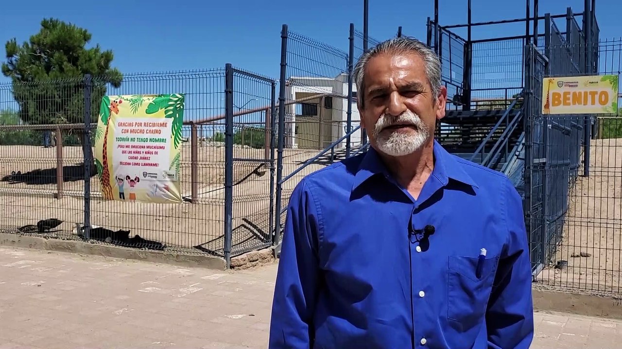 JZ PIDEN REUBICAR JIRAFA PKG 14JUNIO2023