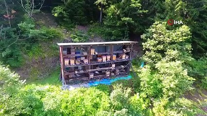 Dünya 'Altın Bal' ödülü balın tanıtımı Artvin'de yapıldı