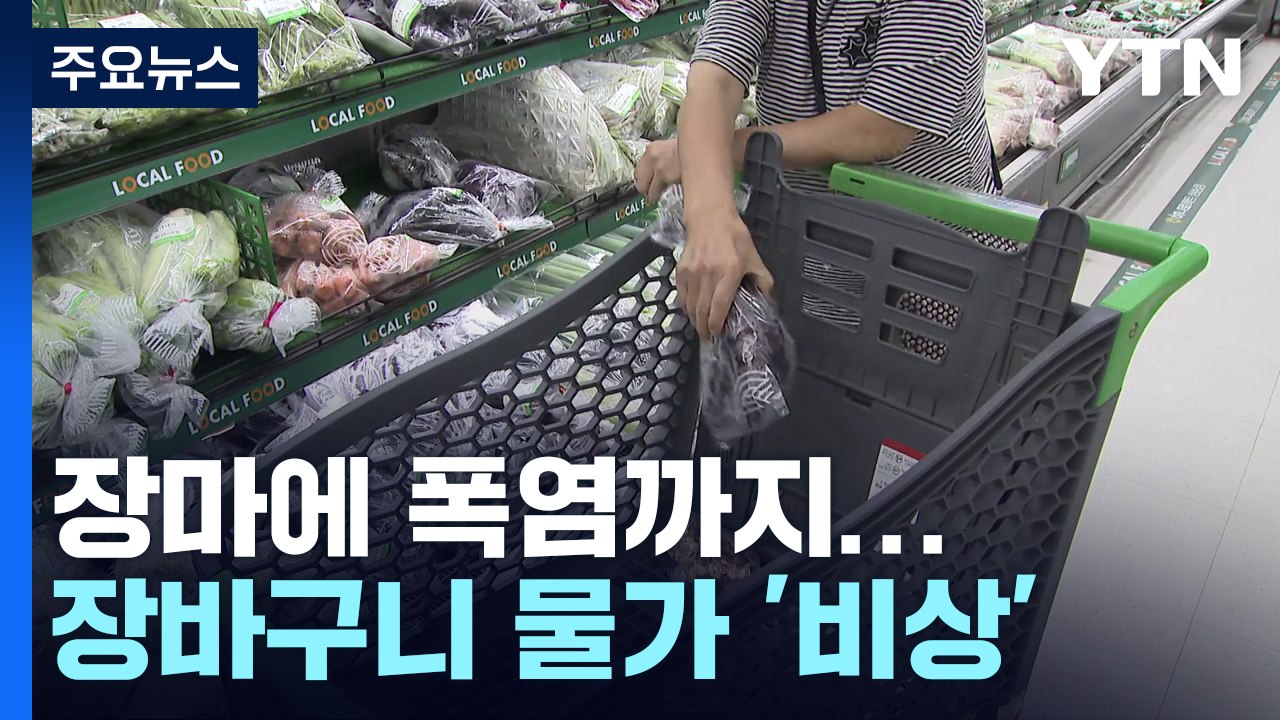 장마·폭염에 채소 가격 급등...장바구니 물가 '비상' / YTN