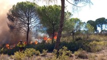 Los equipos de emergencia han estabilizado el incendio de Huelva