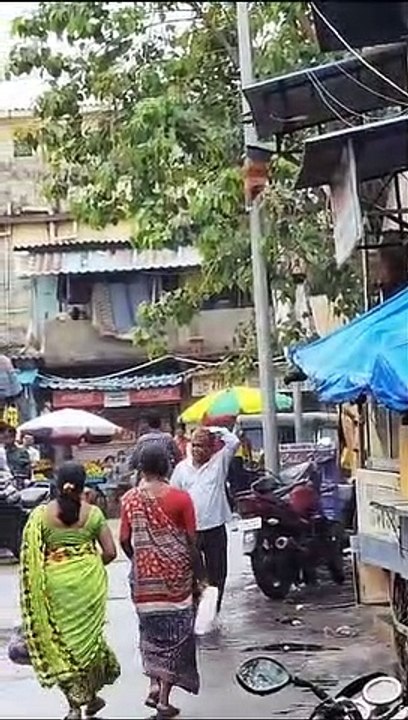 कौवा सब को परेशान कर दिया