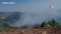 Hatay Antakya'da orman yangını