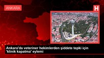 Ankara'da veteriner hekimlerden şiddete tepki için 'klinik kapatma' eylemi
