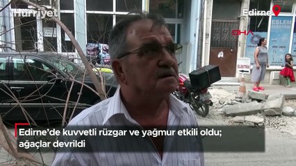 Edirne'de kuvvetli rüzgar ve yağmur etkili oldu; ağaçlar devrildi