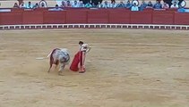 Andrés Roca Rey es corneado en su reaparición en El Puerto.