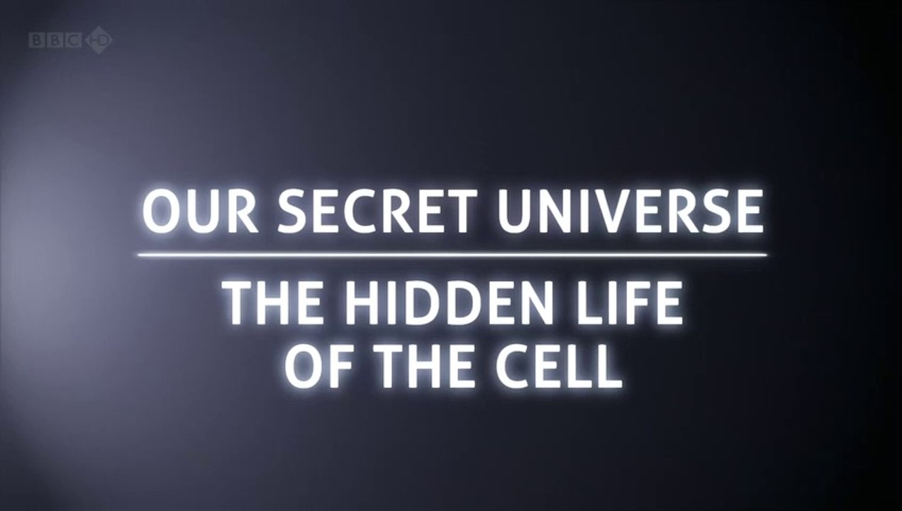 Nuestro Universo Secreto- La Vida Oculta de la Célula (English -  Spanish - Russian - Hebrew Subtitles) - BBC Documentary #DocuEngsub Channel