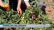 Tarımın yapı taşı 'çiftçilik'