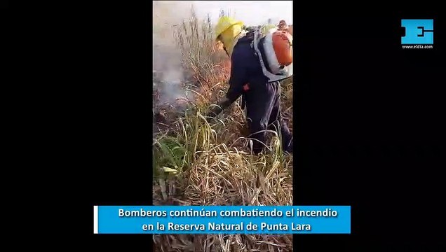 Bomberos continúan combatiendo el incendio en la Reserva Natural de Punta Lara