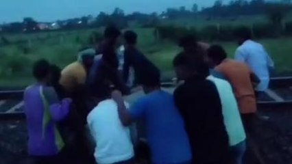 अशोकनगर: रेलवे ट्रेक पर पड़ा मिला घायल मवेशी, बजरंगदल कार्यकर्ताओं ने कराया ईलाज