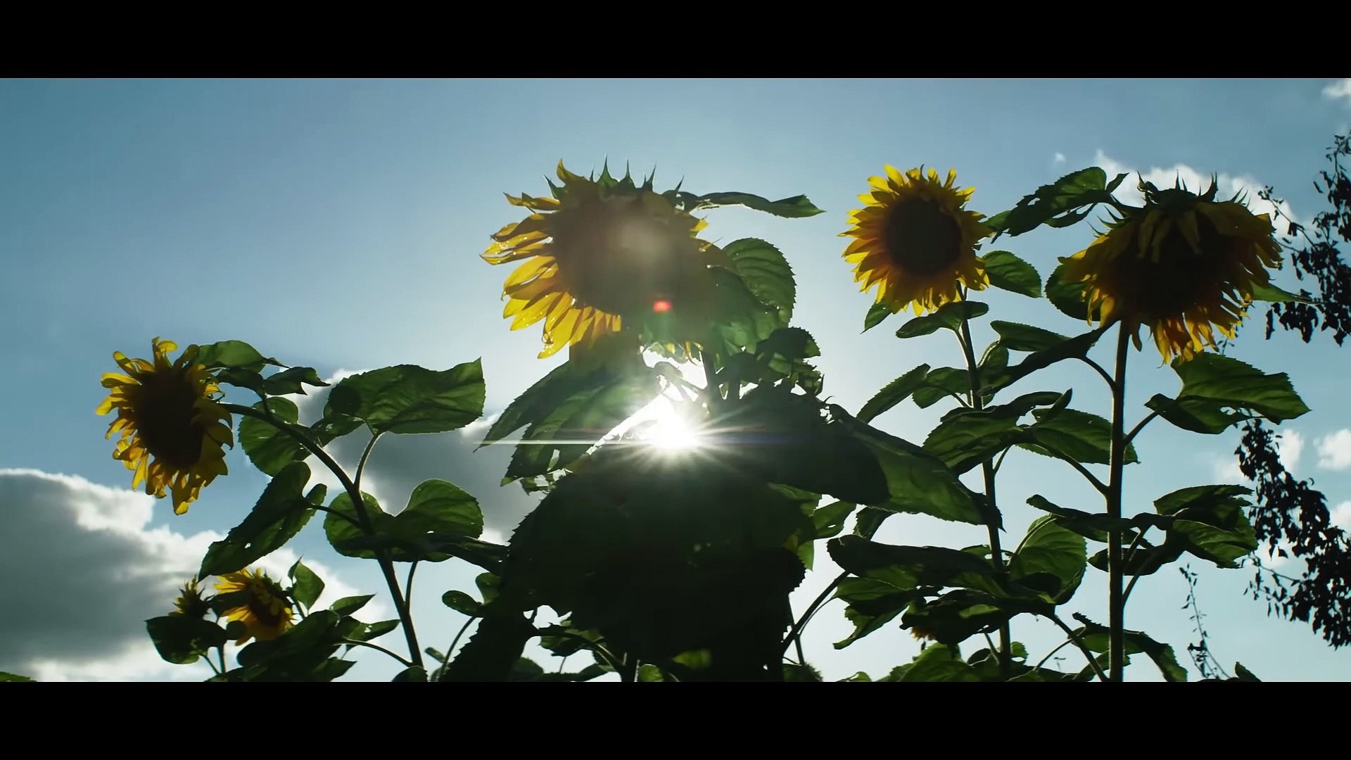 Meu Nome é Sara  Filme Completo Dublado  Drama  Film Plus