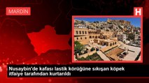 Nusaybin'de kafası lastik körüğüne sıkışan köpek itfaiye tarafından kurtarıldı