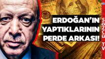 Uzman Ekonomist 'Erdoğan Bilerek Yaptı' Dedi ve Ekonomide Yapılanları Tek Tek Anlattı!