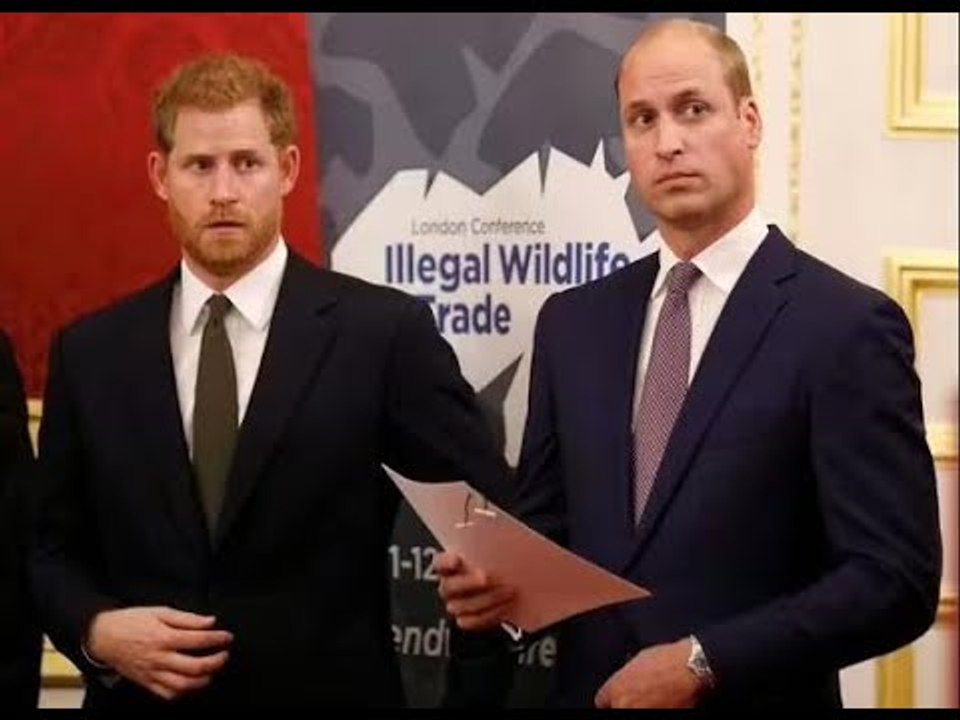 Harry e William avevano "un'enorme rivalità" e "non erano mai buoni amici", anche prima della faida
