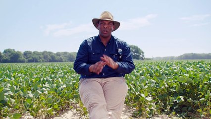 Gaining Ground: The Fight for Black Land | movie | 2023 | Official Trailer