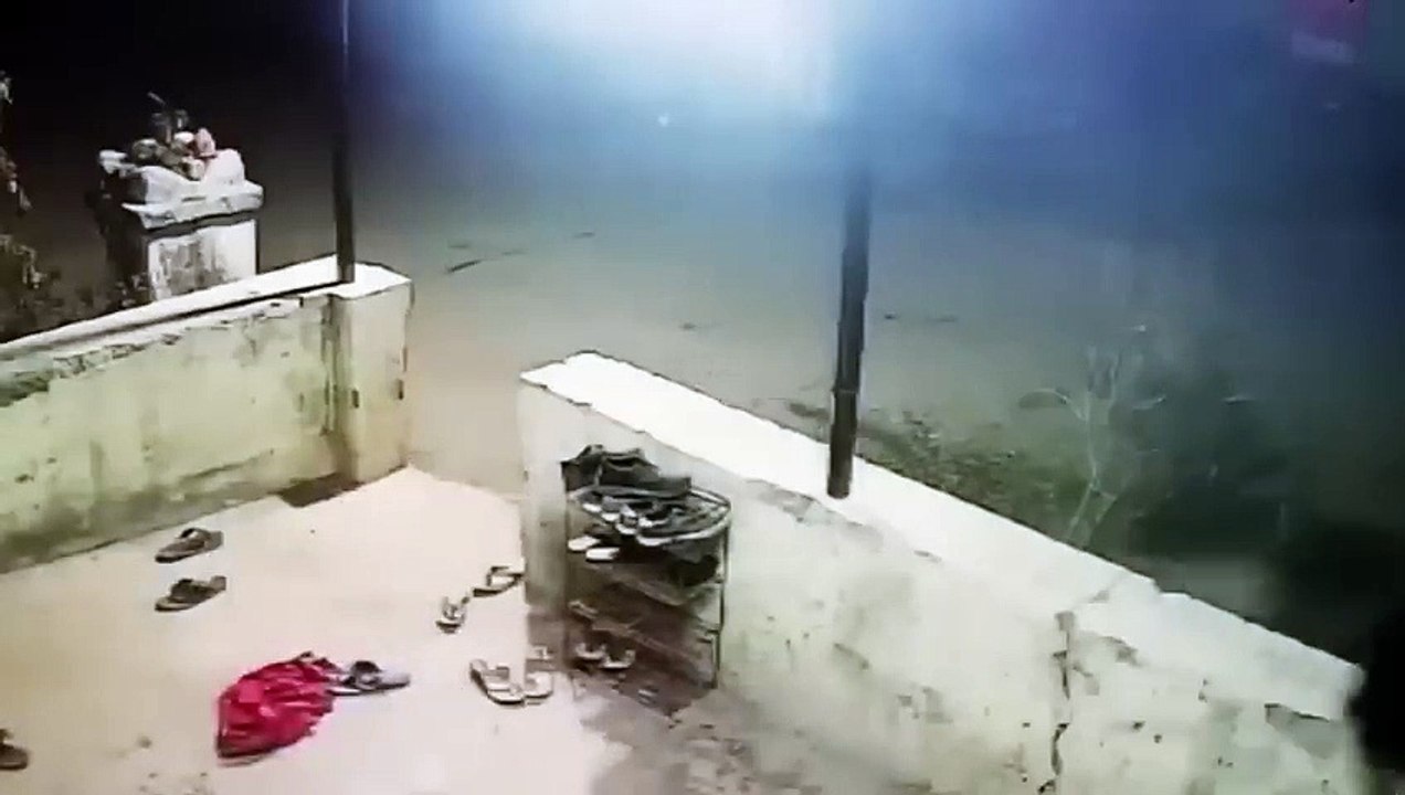 Leopards Ruthlessly Hunt And Eat Dogs !!