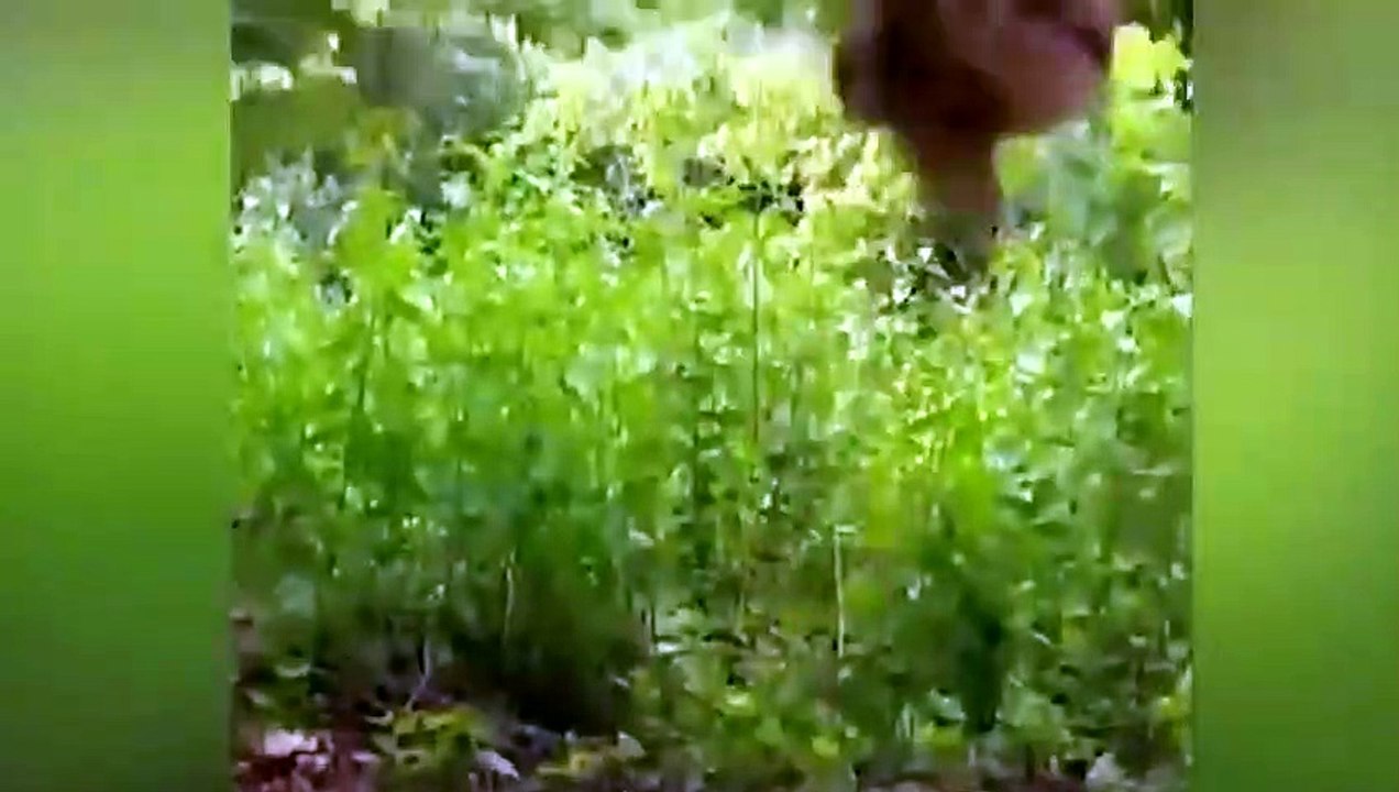 When Animals Messed With The Wrong Opponent (2)