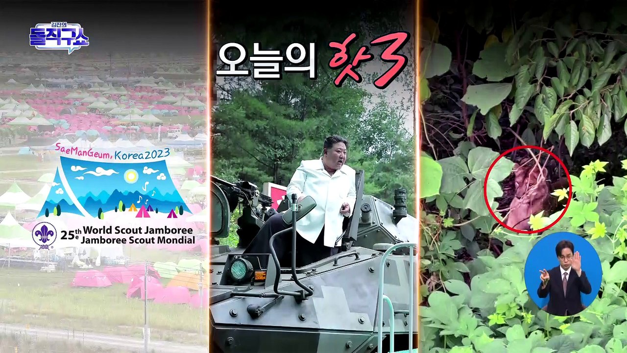 [핫플]20년 갇혀 산 암사자 사순이…짧았던 세상 구경