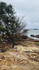 Discover Dumaran, Palawan's Aquatic Paradise 🌊