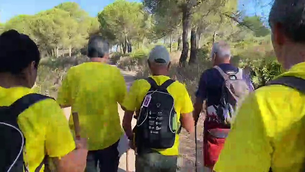 Día 20 de EXPEDICIÓN BALMIS, SALVANY Y ZENDAL / Serpenteamos por las 1.300 columnas de mármol, jaspe y granito de la mezquita-catedral de Córdoba