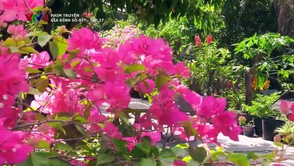 Gia đình sô bít Tập 37