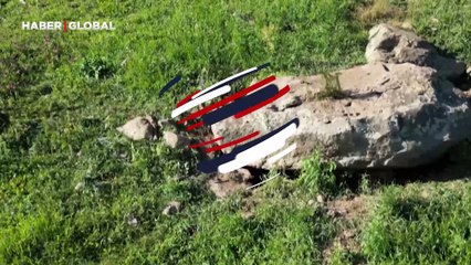 Ardahan'da anne tilki yavrularını emzirirken görüntülendi