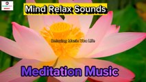 Stress Relief Music | Calming Sleep Music | Sleeping Music with Relaxing Sound | Nature Video | Sleep Music | Meditation Music | Calm Sound