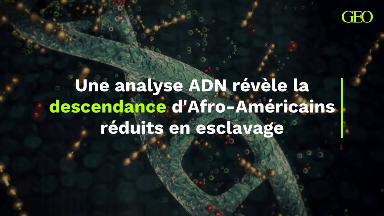 Le lien entre 27 Afro-américains réduits en esclavage et 42 000 descendants vivants révélé grâce à une analyse ADN